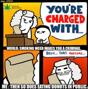 Why does India's NDPS Act punish instead of reform?